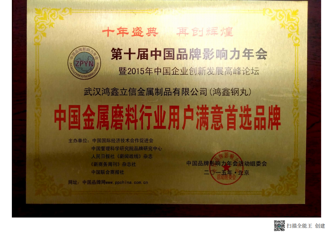 中國金屬磨料行業用戶滿意**品牌.png undefined